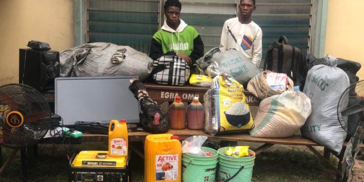 Two Held for Stealing Food, Including Turkey and Rice, in Ogun State