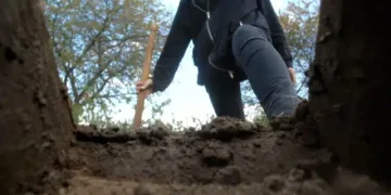 How a 17 year old boy buries his brother alive