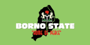 Borno state records over 18000 people receiving HIV/AID treatment