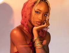 Ayra Starr Offers public Apology for disrespecting King Sunny Ade During an Event