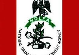 NDLEA Seizes 1,274 Parcels of Cocaine and Colorado in Lagos, Alongside 5.6 Million Opioid Pills in Kano
