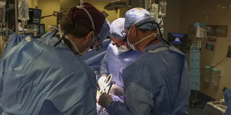 Surgeons transplant pig’s kidney into human in US