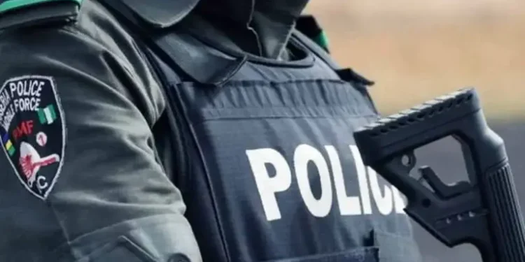 Police arrest 2 undergraduates for faking their kidnap