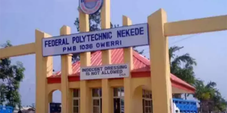 30-year-old Nekede Polytechnic graduate commits suicide in Imo state