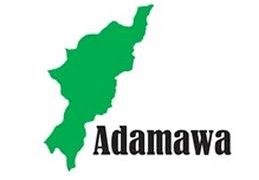 Adamawa Police Arrest Woman for Allegedly Burning Stepchildren’s Hands Over Food Dispute