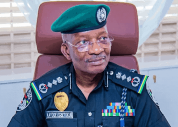 The IGP, Kayode Egbetokun Suspend Implementation of Electronic Central Motor Registry Following Public Outcry