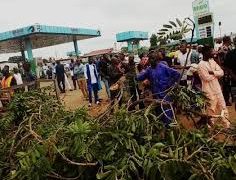 Tragic Incident at Jattu Market: Four Lives Lost Due to Falling Trees in Edo State