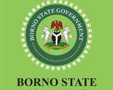 Borno State Government Denies Claims of Governor son’s Arrest and Imprisonment