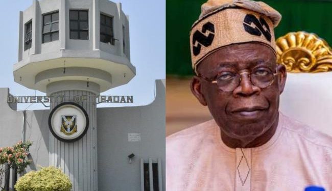 University of Ibadan Students Urge President Tinubu to Address Tuition Fee Hike