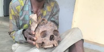 Ex-Convict Arrested With Human Skull in Ogun Burial Ground
