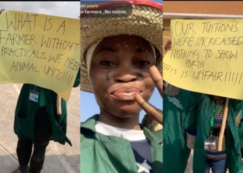 LAUTECH Agriculture Students Protest Over Lack of Sufficient Facilities