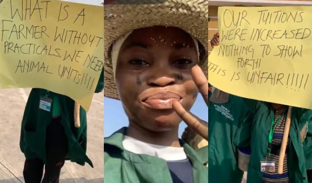 LAUTECH Agriculture Students Protest Over Lack of Sufficient Facilities