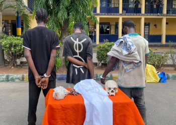 Police Arrest Three in Imo for Alleged Possession of Human Skull