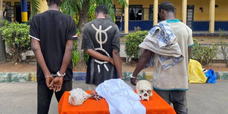 Police Arrest Three in Imo for Alleged Possession of Human Skull