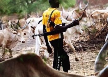 Two Farmers Killed in Edo State by Suspected Armed Herdsmen