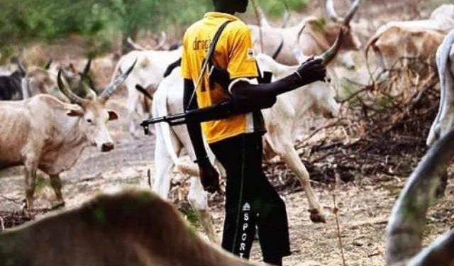 Two Farmers Killed in Edo State by Suspected Armed Herdsmen