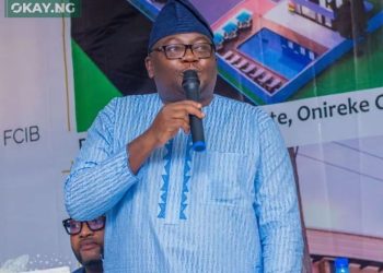 NSA Must Stop Military Attacks on Power Companies – Adelabu
