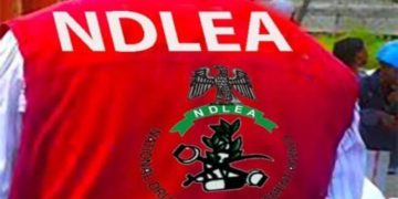 NDLEA Officers Arrested for Allegedly Killing 19-Year-Old Woman in Kano