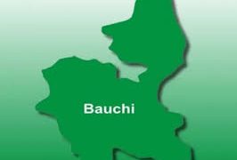 Man Arrested for Allegedly Beating His Mother to Death with Pestle in Bauchi