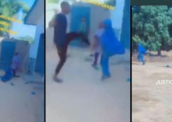 Borno: Man Allegedly Assaults Young Girl for Plucking Mangoes in His Compound