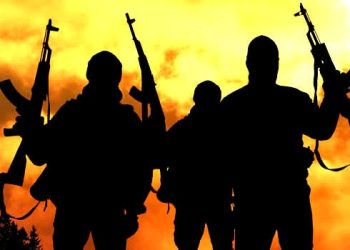 14 Abducted in Benue Highway Attack as Insecurity Worsens