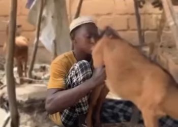 Kano Man Arrested for Allegedly Licking Goat’s Genitals