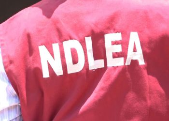 Three NDLEA Officers Hospitalised After Gunmen Attack During Abuja Raid