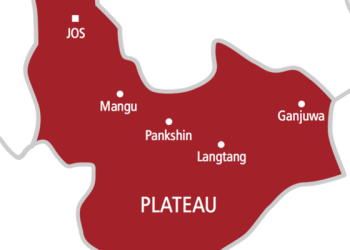 Northern group condemns Plateau killings, Urge Swift Government Action on Insecurity