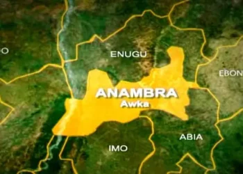 Anambra: Man Arrested for Allegedly Killing Mother Over Cassava Business Dispute