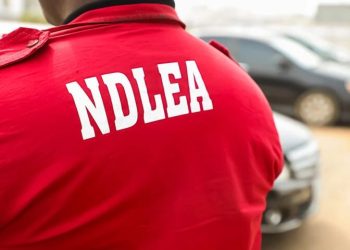 NDLEA arrests those smuggling cocaine to Saudi Arabia using religious documents