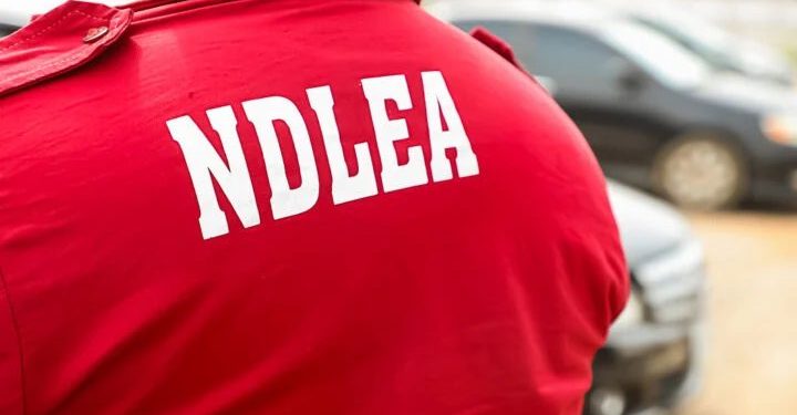 NDLEA arrests those smuggling cocaine to Saudi Arabia using religious documents