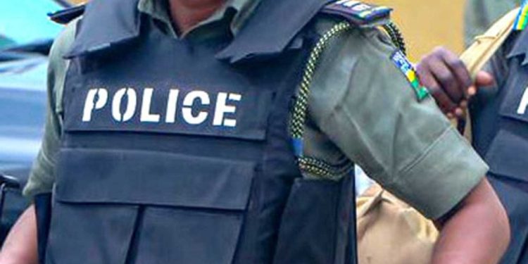Adamawa Police Arrest Herbalist for Alleged Ritual Murder of 11-Year-Old, Eye Missing