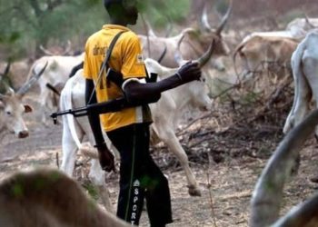 Armed Herdsmen Strike Again in Benue, Kill Nine Despite Security Deployment