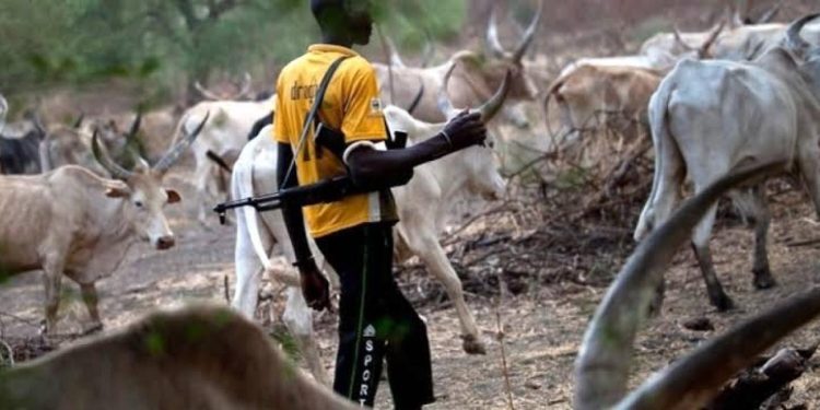Armed Herdsmen Strike Again in Benue, Kill Nine Despite Security Deployment
