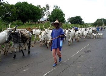 Drive out the ‘mad men’ among you who are killing people— Benue monarch tells MACBAN
