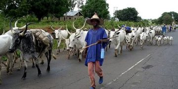Drive out the ‘mad men’ among you who are killing people— Benue monarch tells MACBAN