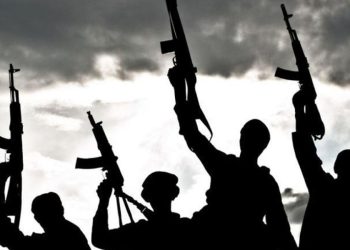 Gunmen Kidnap Immigration Officer in Benue, Demand N20 Million for Release
