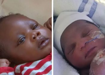 Police Conduct Door-to-Door DNA Search to Identify Parents of Abandoned Baby Elsa and Siblings