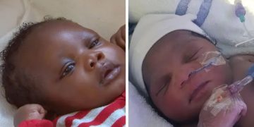 Police Conduct Door-to-Door DNA Search to Identify Parents of Abandoned Baby Elsa and Siblings