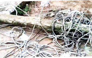 Heartbreak in Awka as Fallen Power Line Kills Three-Year-Old Girl