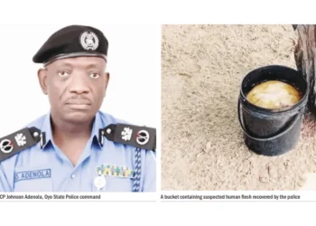 Suspect Confesses to Buying Fingertip-Sized Human Bones for N1,000 after Being Found with Human Flesh and Breasts