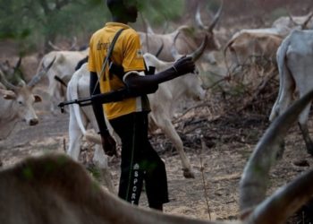Suspected Herdsmen Attack Agwa Community in Imo, Kill Five and Abduct Three
