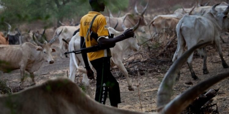 Suspected Herdsmen Attack Agwa Community in Imo, Kill Five and Abduct Three