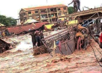 Niger Flood Tragedy: Death Toll Rises to 207, Over 700 Still Missing