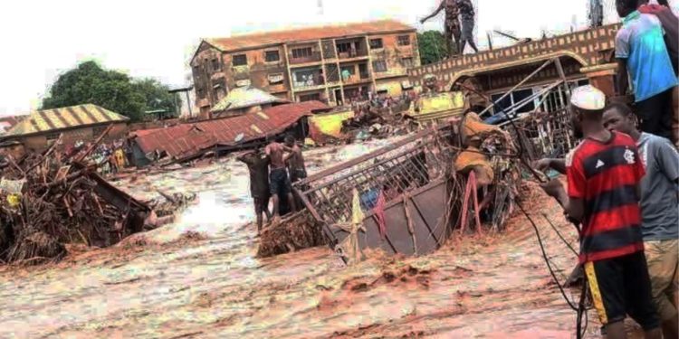 Niger Flood Tragedy: Death Toll Rises to 207, Over 700 Still Missing