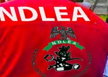 NDLEA Officer Killed During Raid by Suspected Drug Dealers in Ondo