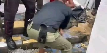 VIDEO: Suspect Caught Hiding in Bank Ceiling After Botched Overnight Robbery