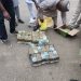 Kaduna Police Nab Suspected Vote Buyer with N25.9m Ahead of Bye-Elections