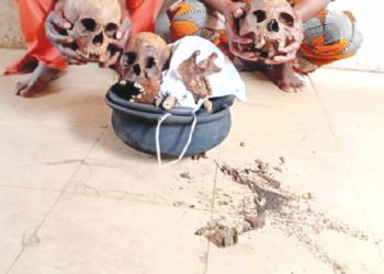 Police Prosecute Two Over Possession of Human Skulls in Ogun