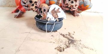 Police Prosecute Two Over Possession of Human Skulls in Ogun